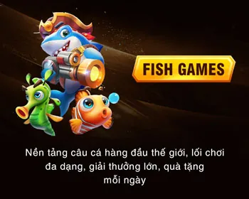 Không nên đặt cược theo cảm tính